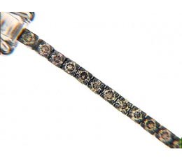Brown Diamond Bracelet
